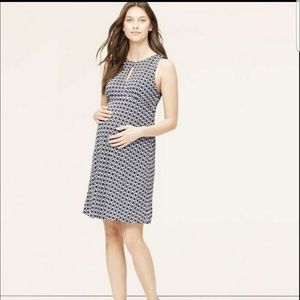 Loft Maternity Dress